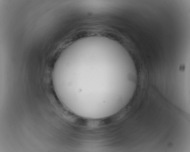 X0000113200757200909100922