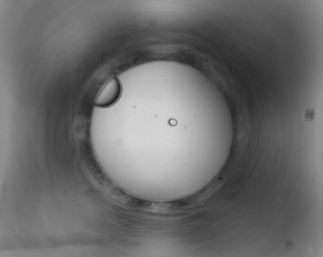 X0000113200758200909100922