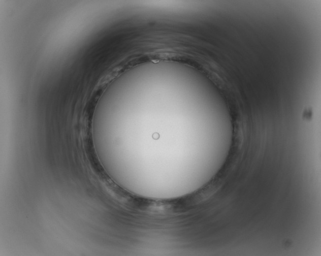X0000113200760200909100922