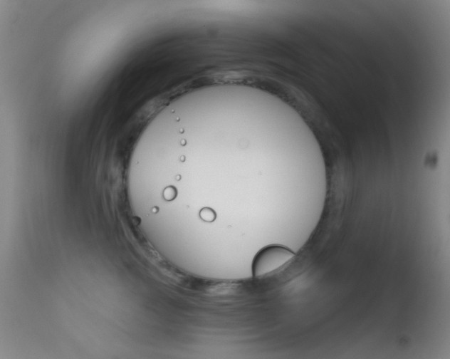 X0000113200761200909100922