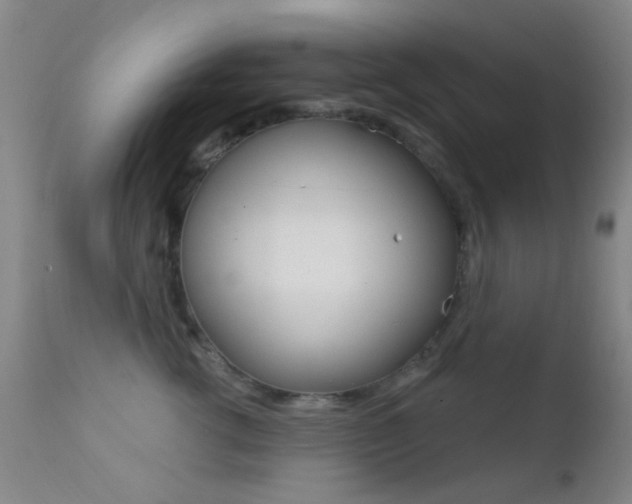 X0000113200762200909100922