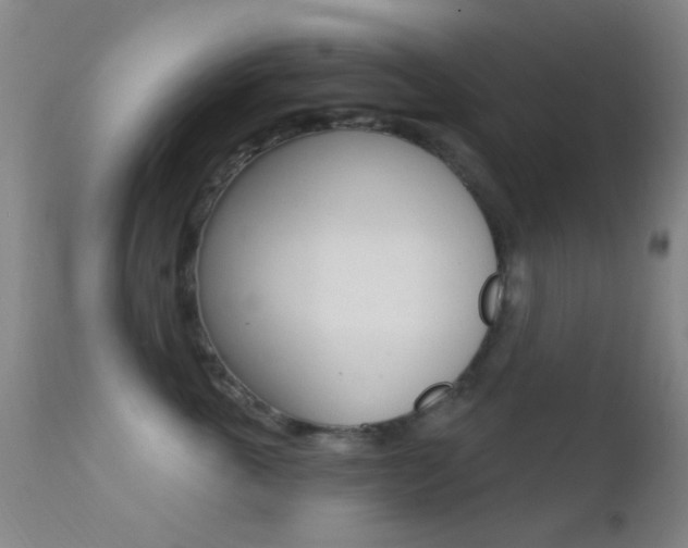 X0000113200763200909100922