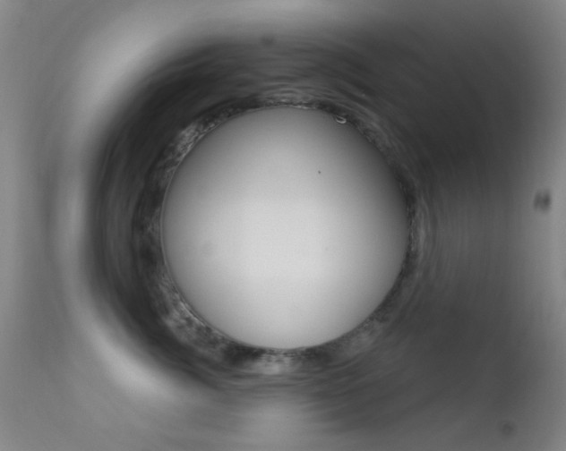 X0000113200764200909100922
