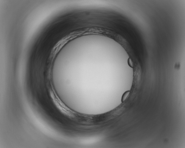 X0000113200765200909100922