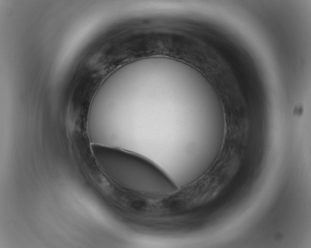 X0000113200766200909100922