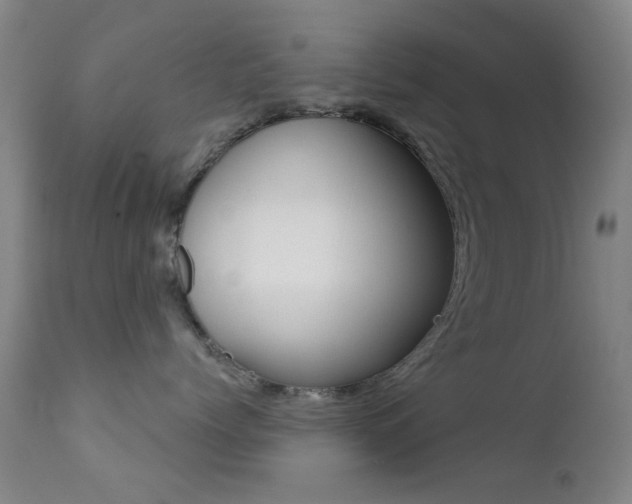 X0000113200768200909100922