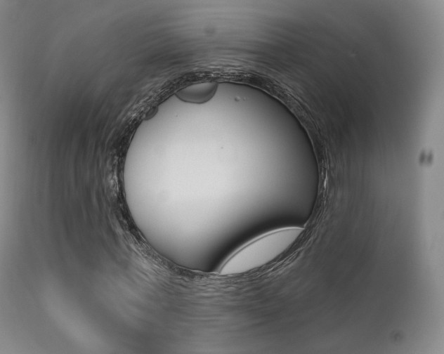 X0000113200771200909100921