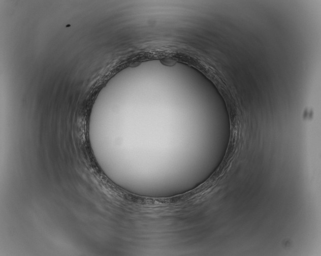 X0000113200772200909100921