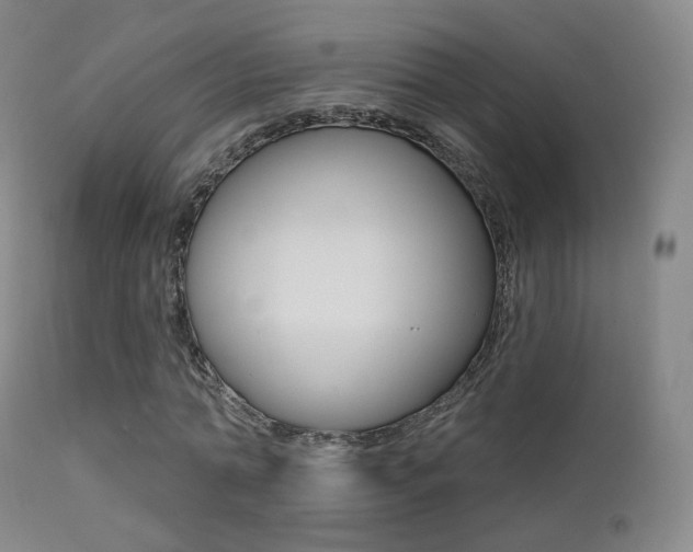 X0000113200774200909100921