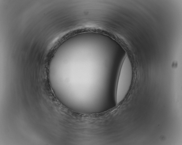 X0000113200776200909100921