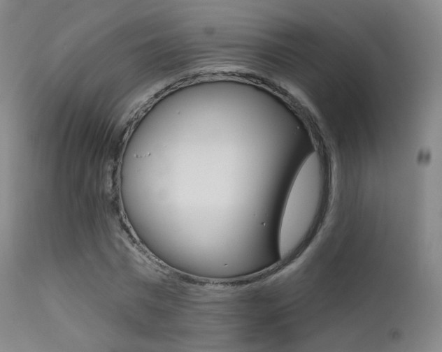 X0000113200777200909100921