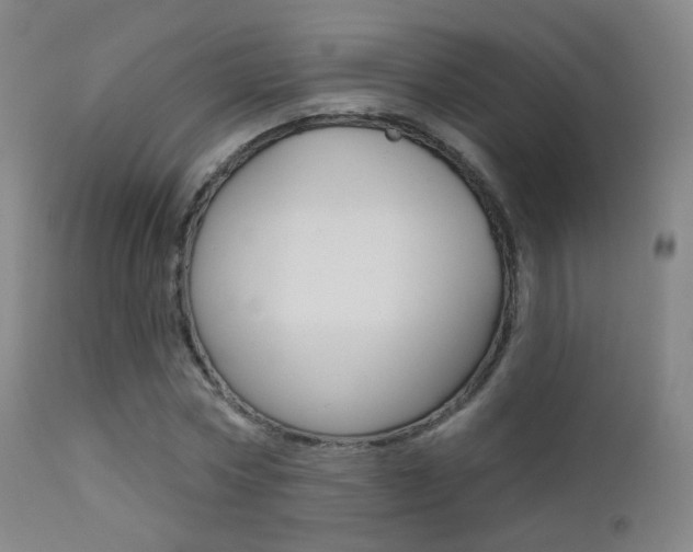X0000113200778200909100921