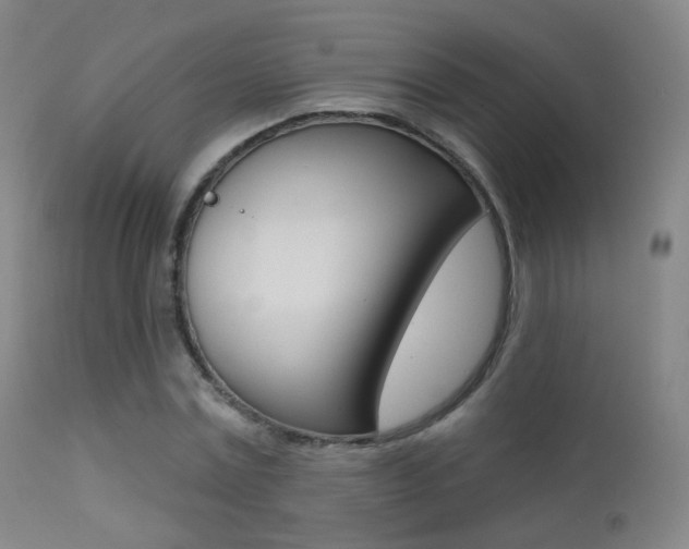 X0000113200779200909100921