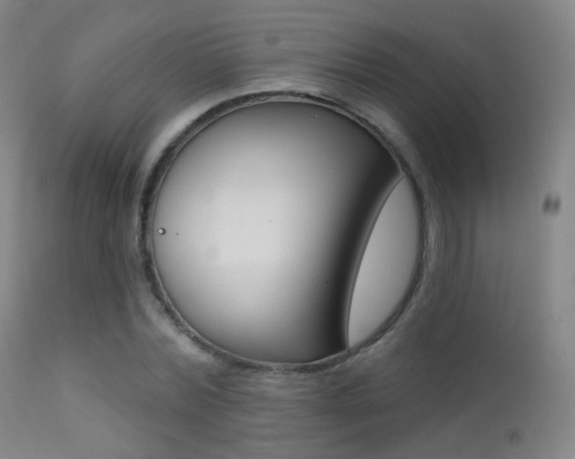 X0000113200780200909100921
