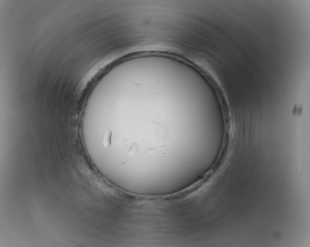 X0000113200781200909100921
