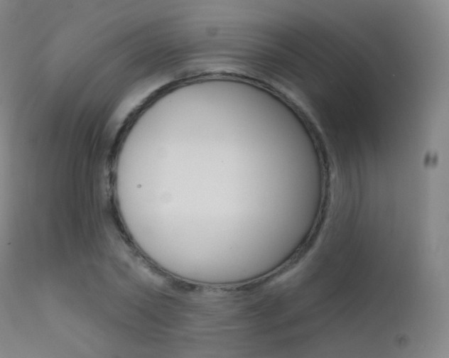 X0000113200782200909100921