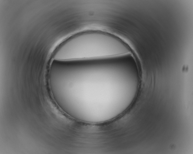X0000113200783200909100921