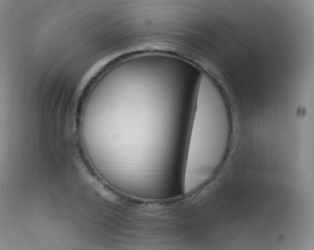 X0000113200784200909100921