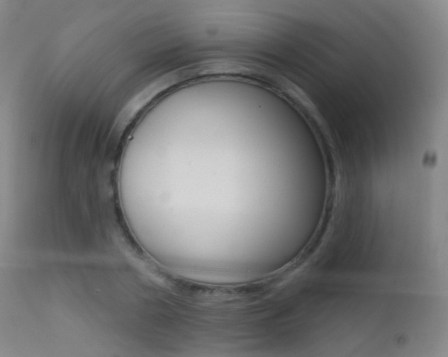 X0000113200786200909100921
