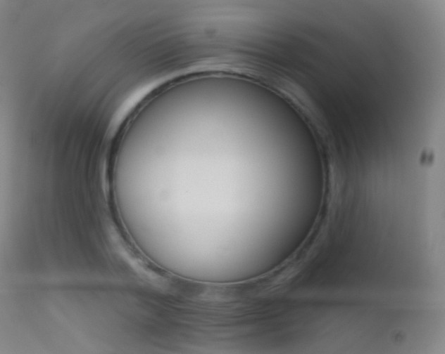 X0000113200788200909100921