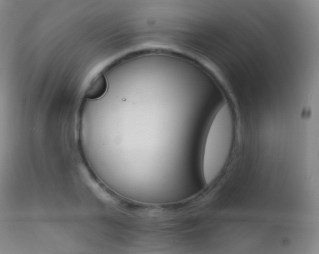 X0000113200791200909100921