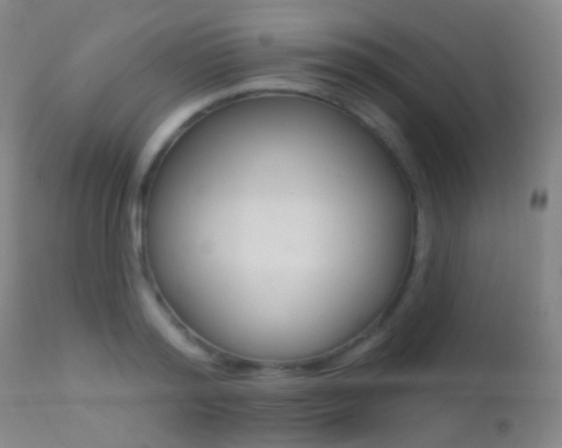 X0000113200796200909100921