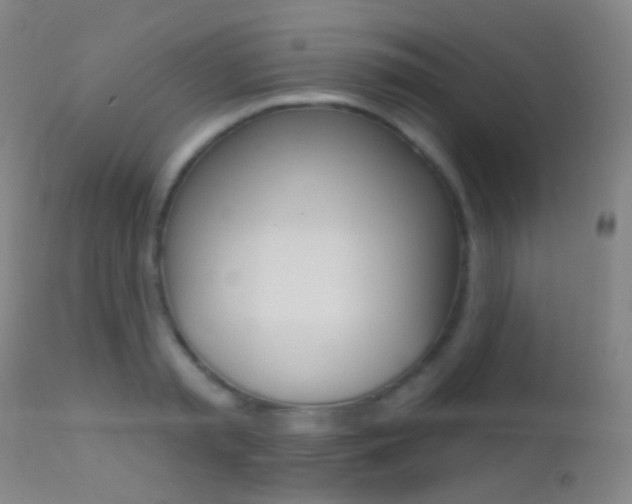 X0000113200797200909100921