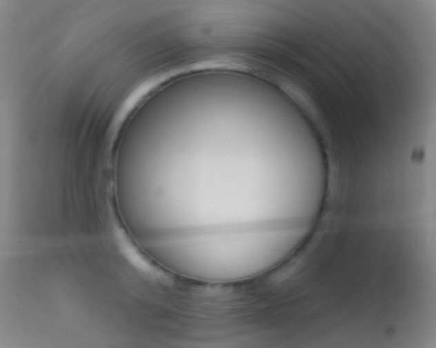 X0000113200800200909100921