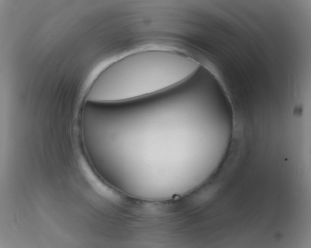 X0000113200803200909100921