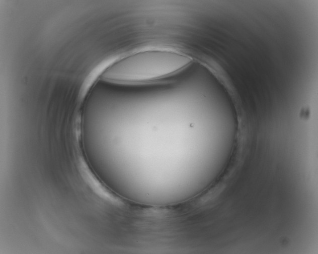 X0000113200804200909100920