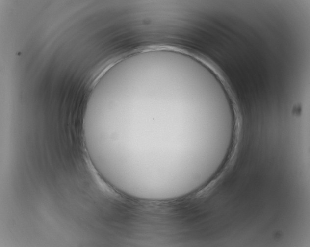 X0000113200809200909100920