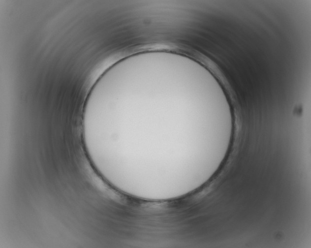 X0000113200810200909100920