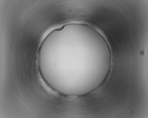 X0000113200811200909100920