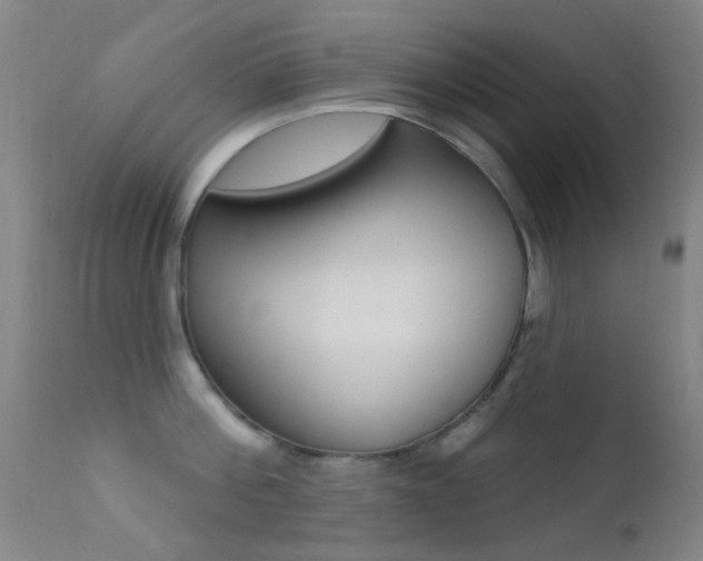 X0000113200812200909100920