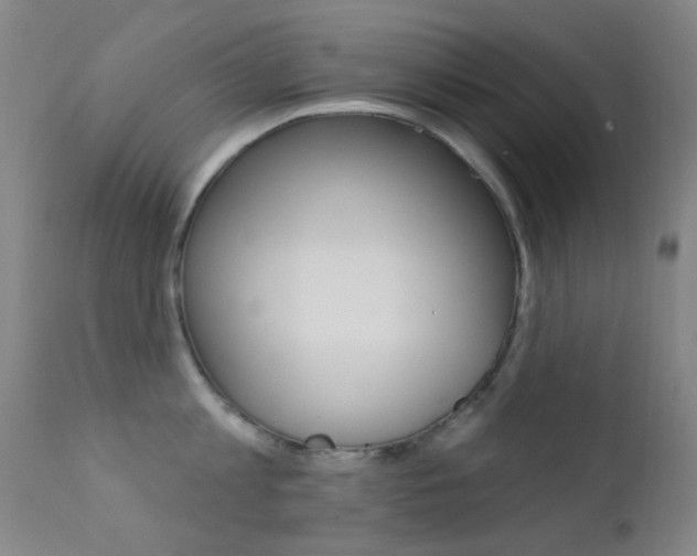 X0000113200813200909100920