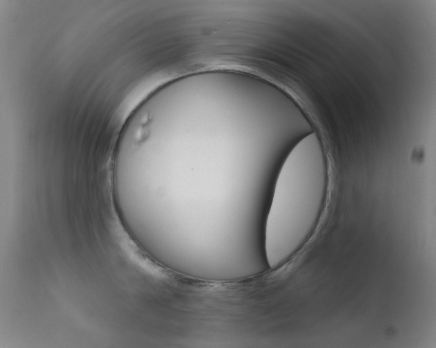 X0000113200814200909100920