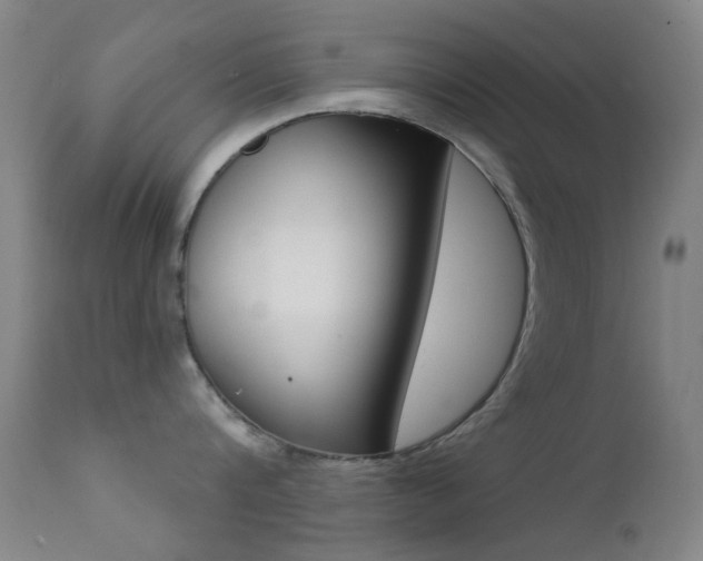 X0000113200816200909100920