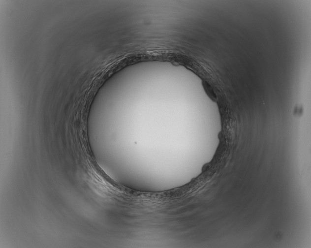 X0000113200817200909100920
