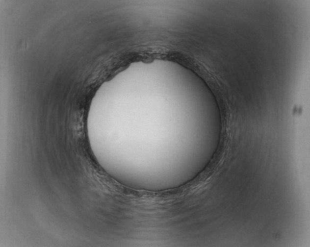 X0000113200818200909100920