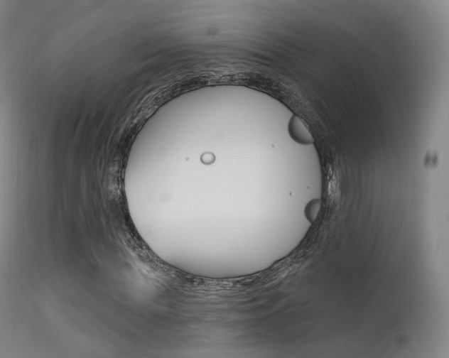 X0000113200819200909100920