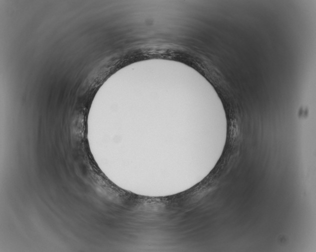 X0000113200820200909100920