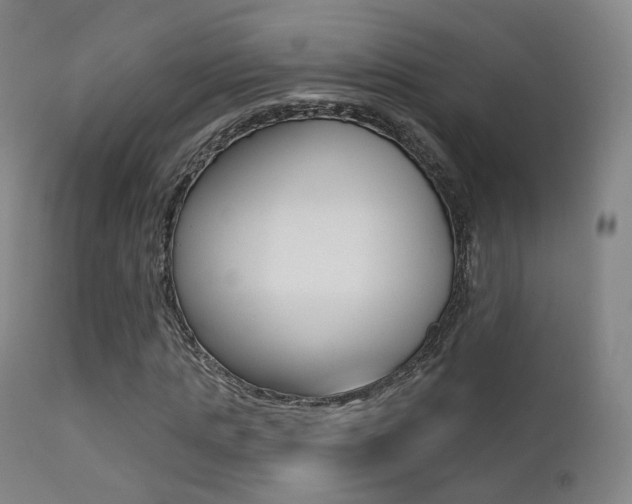 X0000113200821200909100920