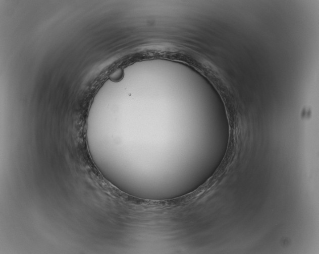 X0000113200822200909100920