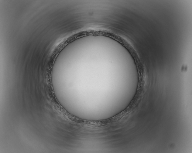 X0000113200823200909100920