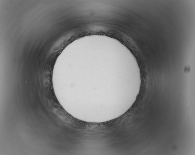 X0000113200824200909100920