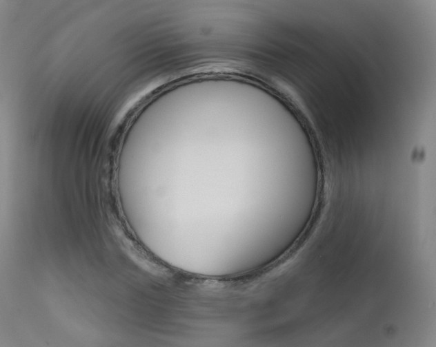 X0000113200827200909100920