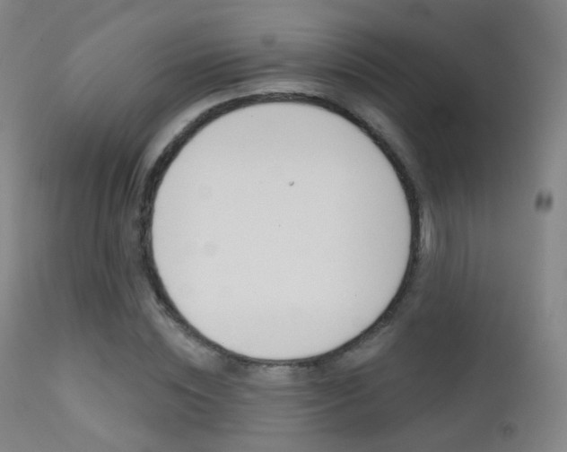 X0000113200828200909100920