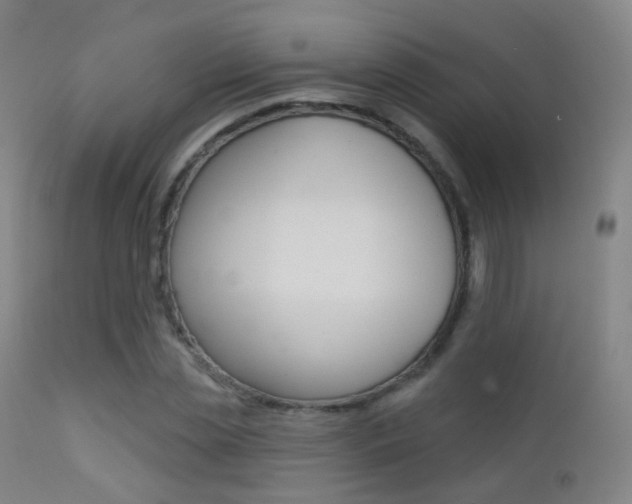 X0000113200829200909100920