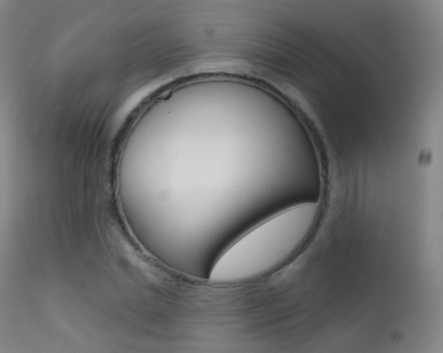 X0000113200830200909100920