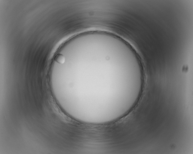 X0000113200832200909100920